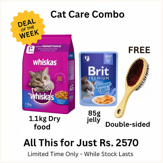 Cat Care Combo – Whiskas 1.1kg Dry Food + Brit Jelly 85g (Salmon) + FREE Double-Sided Grooming Brush | Rs. 2570 Only